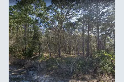 4430 Landover Boulevard, Spring Hill, FL 34609 - Photo 1