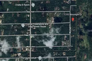 1315 Moonlight Dr, Cocoa, FL 32926 - Photo 1