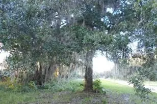 566 Sioux Blvd, Oak Hill, FL 32759 - Photo 1