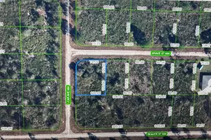 108 Lear Ave NW, Lake Placid, FL 33852 - Photo 1