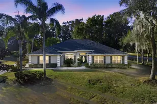 36602 Honey Tree Ct, Eustis, FL 32736 - Photo 1