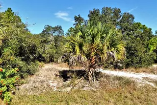 Greentree Ave, North Port, FL 34286 - Photo 1