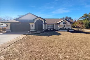 10244 Hoover St, Spring Hill, FL 34608 - Photo 1