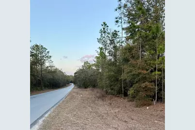 Sw 129th Terrace Road, Ocala, FL 34481 - Photo 1