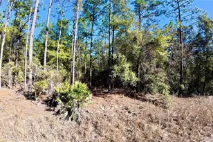 Southwest 38th Pl, Ocala, FL 34481 - Photo 1