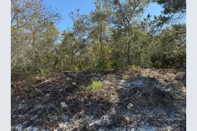 McBride Avenue, Deltona, FL 32725 - Photo 1