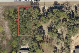 23020 SW Rainbow Lakes Blvd, Dunnellon, FL 34431 - Photo 1