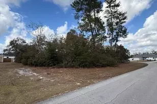 0 SW 42nd Ct Rd, Ocala, FL 34473 - Photo 1