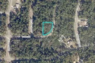 Tbd Fisher Trail, Ocklawaha, FL 32179 - Photo 1