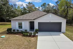 446 Leafy Way Ave, Spring Hill, FL 34606 - Photo 1