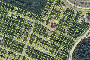 0 Malauka Ln, Ocklawaha, FL 32179 - Photo 1