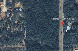 Northeast 80th Ave, Bronson, FL 32621 - Photo 1