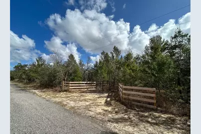 0 Black Bear Lane, Winter Garden, FL 34787 - Photo 1
