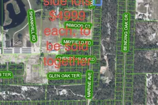 10731 Tam Oshanter Blvd, Sebring, FL 33875 - Photo 1