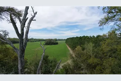 Sw Cr 344, Trenton, FL 32693 - Photo 1
