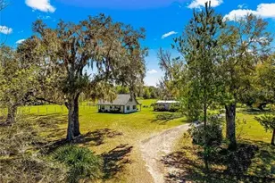 15950 NE 50 St, Williston, FL 32696 - Photo 1