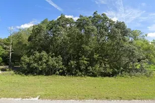 00 Malauka Rd, Ocklawaha, FL 32179 - Photo 1