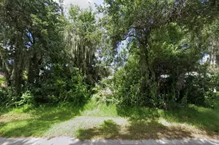 1508 Sabal Palm Dr, Edgewater, FL 32132 - Photo 1