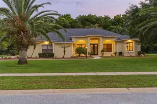 744 Barrows Dairy Rd, Port Orange, FL 32127 - Photo 1