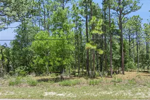 1797 W Union St, Hernando, FL 34442 - Photo 1