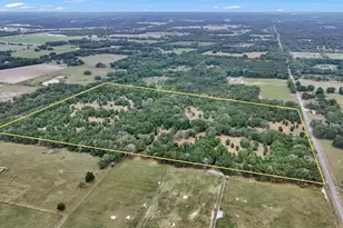 650 NE 200th Ave, Williston, FL 32696 - Photo 1