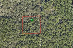 Lake Harney Rd, Osteen, FL 32764 - Photo 1