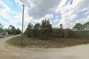 SW 85th Pl, Dunnellon, FL 34432 - Photo 1