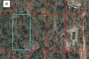 SE 64th Pl, Morriston, FL 32668 - Photo 1