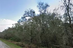 5065 Flagler Estates Blvd, Hastings, FL 32145 - Photo 1