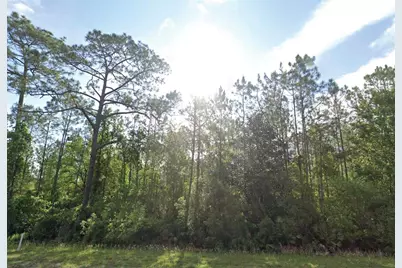 125 Madeira Street, Palatka, FL 32177 - Photo 1
