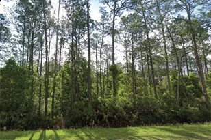 1501 S State Rd 19, Palatka, FL 32177 - Photo 1