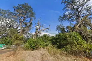 00 Oak, Odessa, FL 33556 - Photo 1