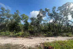 2942 Brownwood Circle, Sebring, FL 33875 - Photo 1