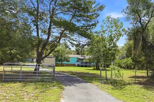 44238 Forest View Rd, Deland, FL 32720 - Photo 1