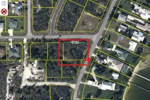 1595 Jersey St NE, Lake Placid, FL 33852 - Photo 1