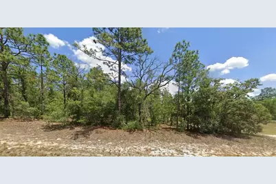 9857 N Lathyrus Terrace, Dunnellon, FL 34433 - Photo 1