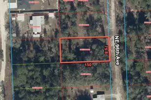 6624 NE 96 Ave, Bronson, FL 32621 - Photo 1