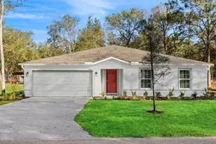 10376 Laura E Ave, Weeki Wachee, FL 34614 - Photo 1