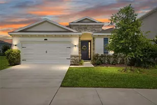 3228 Living Coral Dr, Odessa, FL 33556 - Photo 1