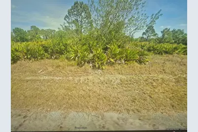 220 Broach Street NW, Lake Placid, FL 33852 - Photo 1