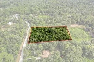 10497 Yellowlegs Ave, Weeki Wachee, FL 34614 - Photo 1