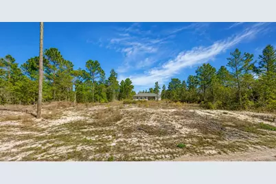3539 W Seahorse Lane, Citrus Springs, FL 34433 - Photo 1