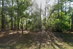 8297 N Yellowbird Ave, Citrus Springs, FL 34434 - Photo 1