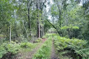 10579 SE Co Rd 337, Trenton, FL 32693 - Photo 1