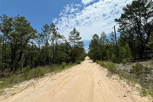 424 Nova Scotia St, Interlachen, FL 32148 - Photo 1