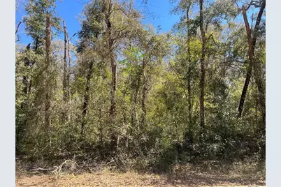 Walker, Interlachen, FL 32148 - Photo 1