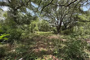 101 Joel Ave, Interlachen, FL 32148 - Photo 1