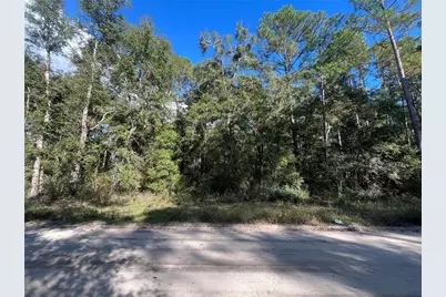 Rutland Road, Crawfordville, FL 32327 - Photo 1