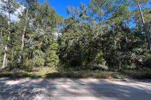 Rutland Rd, Crawfordville, FL 32327 - Photo 1