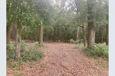 Sw 20th Street, Bell, FL 32619 - Photo 1